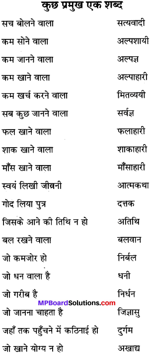 MP Board Class 6th Special Hindi व्याकरण 8