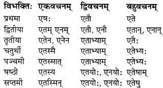 MP Board Class 7th Sanskrit व्याकरण-खण्डः img 10