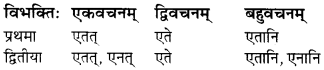MP Board Class 7th Sanskrit व्याकरण-खण्डः img 11
