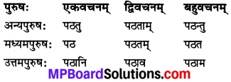 MP Board Class 7th Sanskrit व्याकरण-खण्डः img 17
