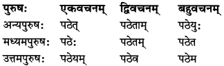 MP Board Class 7th Sanskrit व्याकरण-खण्डः img 18