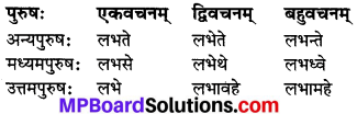 MP Board Class 7th Sanskrit व्याकरण-खण्डः img 21