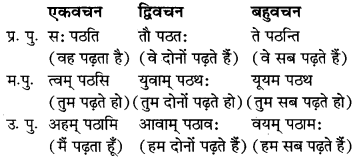 MP Board Class 7th Sanskrit व्याकरण-खण्डः img 32