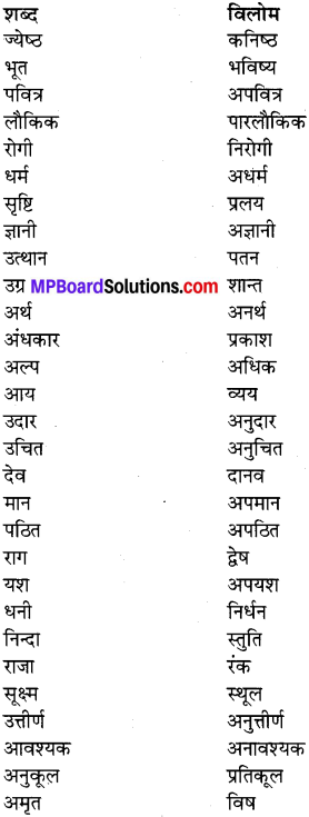MP Board Class 7th Special Hindi व्याकरण 4