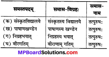 Mp Board Class 8 Sanskrit Solution Chapter 10