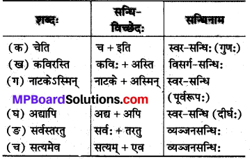 Mp Board Class 8 Sanskrit Chapter 17