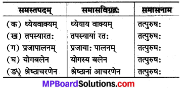 MP Board Class 8th Sanskrit Solutions Chapter 18 सत्कर्म एव धर्मः 2