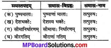 MP Board Class 8th Sanskrit Solutions Chapter 19 प्रियदर्शिनी इन्दिरा 1