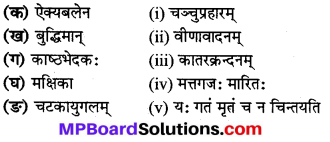 Mp Board Class 8 Sanskrit Solution Chapter 7