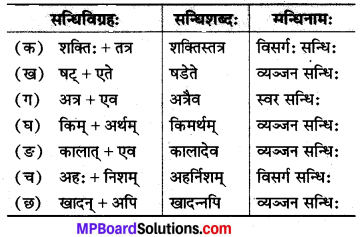 MP Board Class 8th Sanskrit Solutions विविधप्रश्नावलिः 2 Q6