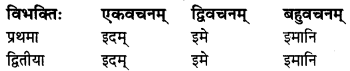 MP Board Class 8th Sanskrit व्याकरण-खण्डः 31