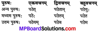 MP Board Class 8th Sanskrit व्याकरण-खण्डः 36