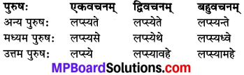 MP Board Class 8th Sanskrit व्याकरण-खण्डः 42