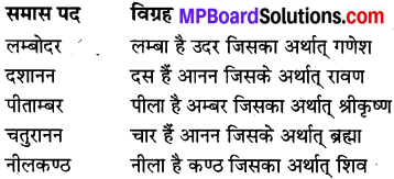 MP Board Class 8th Special Hindi व्याकरण 10