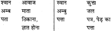 MP Board Class 8th Special Hindi व्याकरण 17