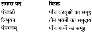 MP Board Class 8th Special Hindi व्याकरण 8