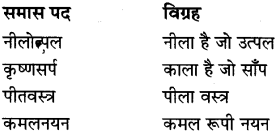 MP Board Class 8th Special Hindi व्याकरण 9