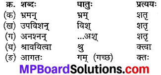 MP Board Class 9th Sanskrit Solutions Chapter 14 वीरबाला img-2