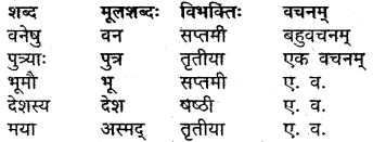 MP Board Class 9th Sanskrit Solutions Chapter 14 वीरबाला img-3