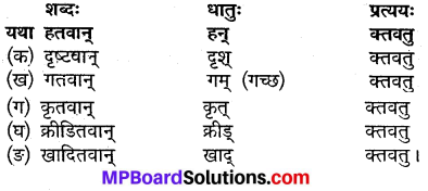 MP Board Class 9th Sanskrit Solutions Chapter 20 वेधशाला img-1