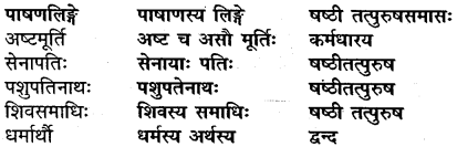 MP Board Class 9th Sanskrit Solutions Chapter 8 दशपुरीया अष्टमूर्ति img-3