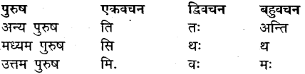 MP Board Class 9th Sanskrit व्याकरण धातु और क्रिया img-1