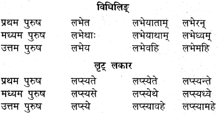 MP Board Class 9th Sanskrit व्याकरण धातु और क्रिया img-25