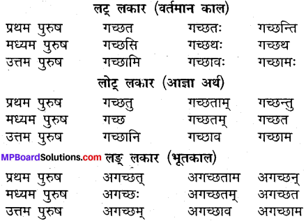 MP Board Class 9th Sanskrit व्याकरण धातु और क्रिया img-4