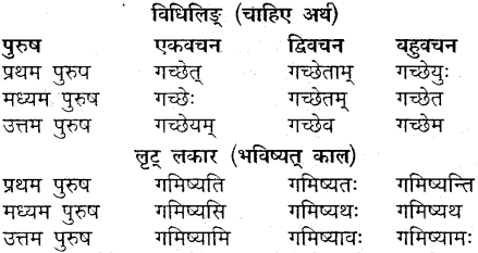 MP Board Class 9th Sanskrit व्याकरण धातु और क्रिया img-5