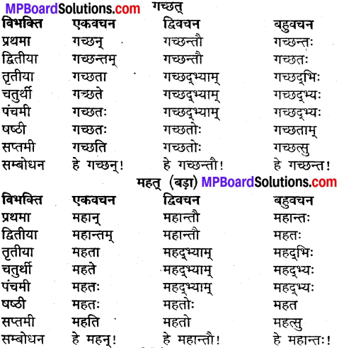 MP Board Class 9th Sanskrit व्याकरण शब्द रूप img-10