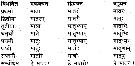 MP Board Class 9th Sanskrit व्याकरण शब्द रूप img-18