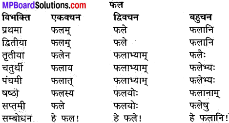 MP Board Class 9th Sanskrit व्याकरण शब्द रूप img-19