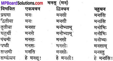 MP Board Class 9th Sanskrit व्याकरण शब्द रूप img-22