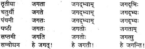 MP Board Class 9th Sanskrit व्याकरण शब्द रूप img-24