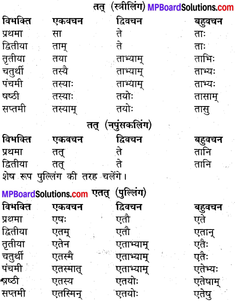 MP Board Class 9th Sanskrit व्याकरण शब्द रूप img-27