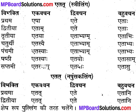 MP Board Class 9th Sanskrit व्याकरण शब्द रूप img-28