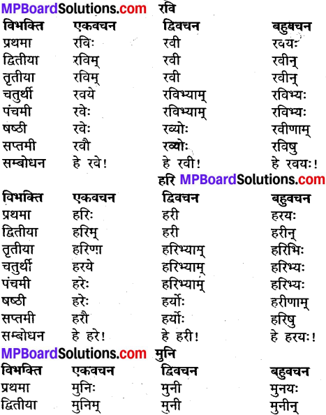MP Board Class 9th Sanskrit व्याकरण शब्द रूप img-3