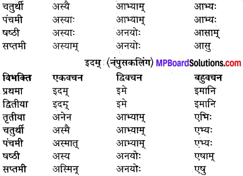 MP Board Class 9th Sanskrit व्याकरण शब्द रूप img-31