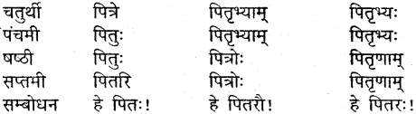 MP Board Class 9th Sanskrit व्याकरण शब्द रूप img-7
