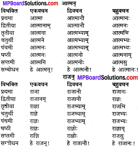 MP Board Class 9th Sanskrit व्याकरण शब्द रूप img-8
