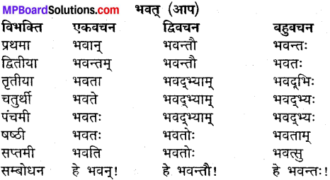 MP Board Class 9th Sanskrit व्याकरण शब्द रूप img-9