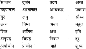 MP Board Class 9th Special Hindi भाषा-बोध image 3s