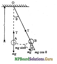 MP Board Class 11th Physics Important Questions Chapter 14 दोलन 13