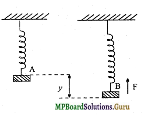 MP Board Class 11th Physics Important Questions Chapter 14 दोलन 9