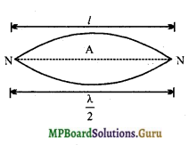 MP Board Class 11th Physics Important Questions Chapter 15 तरंगें 8