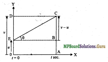 MP Board Class 11th Physics Important Questions Chapter 3 सरल रेखा में गति 5