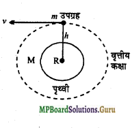 MP Board Class 11th Physics Important Questions Chapter 8 गुरुत्वाकर्षण 16