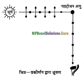 MP Board Class 12th Physics Important Questions Chapter 10 तरंग-प्रकाशिकी 10