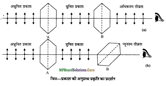 MP Board Class 12th Physics Important Questions Chapter 10 तरंग-प्रकाशिकी 8