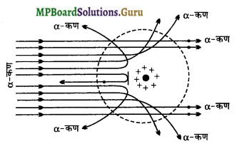 MP Board Class 12th Physics Important Questions Chapter 12 परमाणु 5